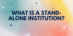 What is a Stand-Alone Institution?